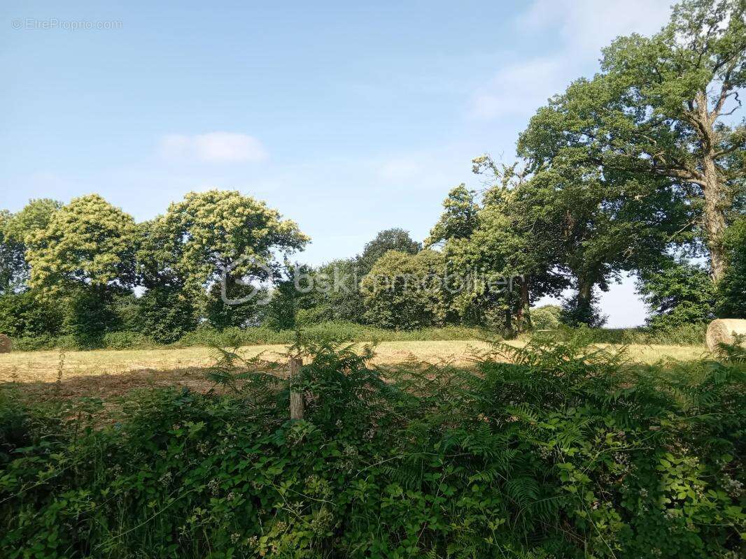 Terrain de 2756 m2-Les Portes du Coglais-Localisation exacte et dossier complet sur demande - photo 4