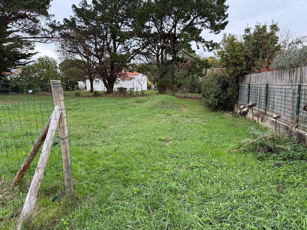 Dept 17 - Saint Georges d'Oléron - Terrain Constructible 784 m² - photo 3