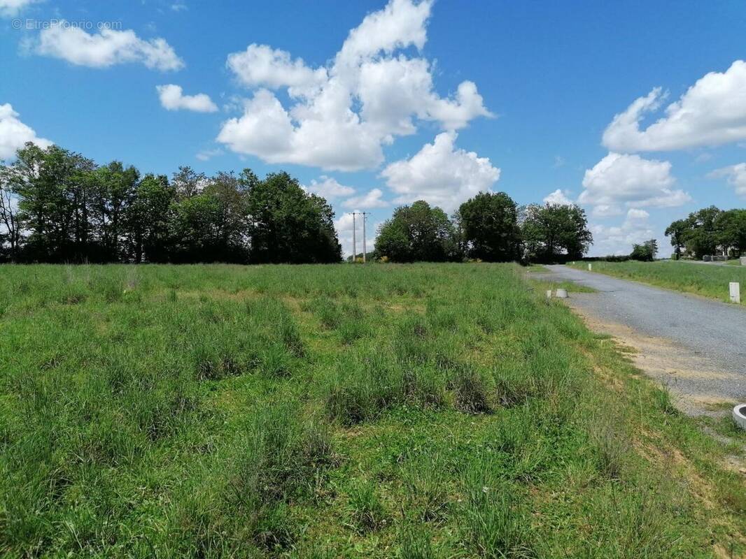 Terrain à CASSAGNES-BEGONHES