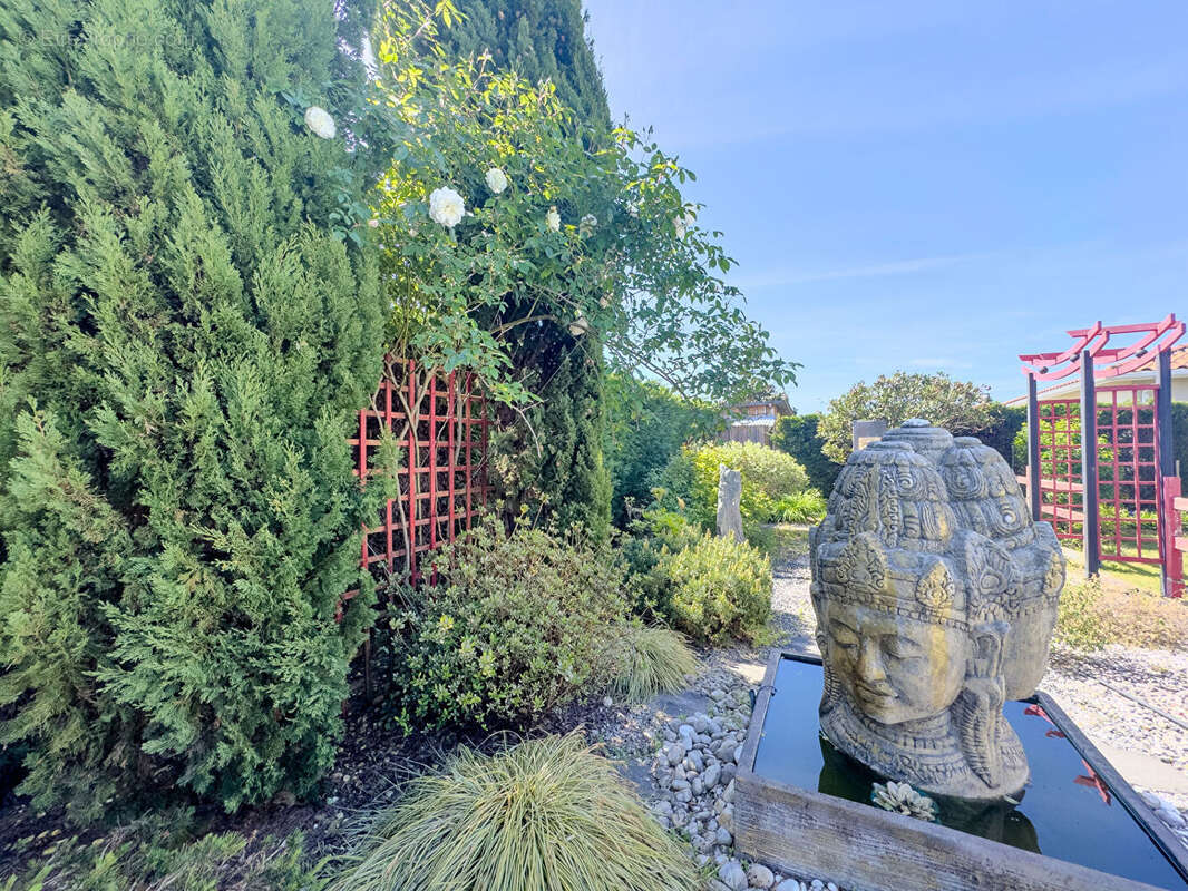 Maison familiale avec piscine, jardin paysagé et garage à Biscarrosse - photo 4