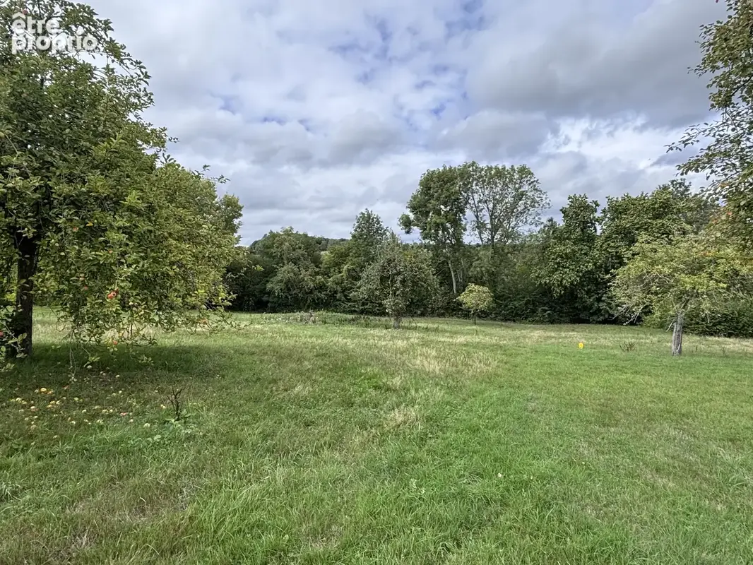 Bel ensemble à réhabiliter en habitation - Pressoir de 110m2 au sol et dépendance sur 7405m2 - photo 16