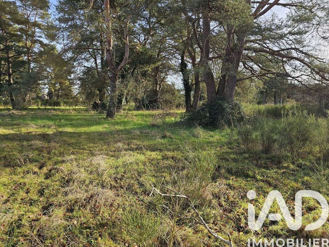 Photo 7 - Terrain à VIEILLES-MAISONS-SUR-JOUDRY