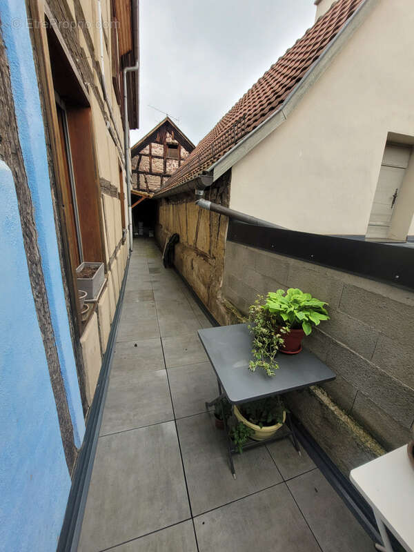 Appartement à RIBEAUVILLE