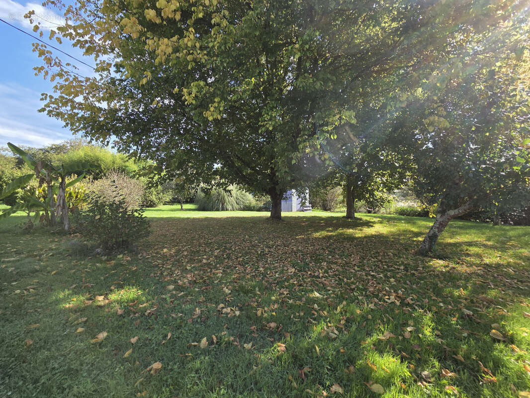 Maison à CASTILLONNES
