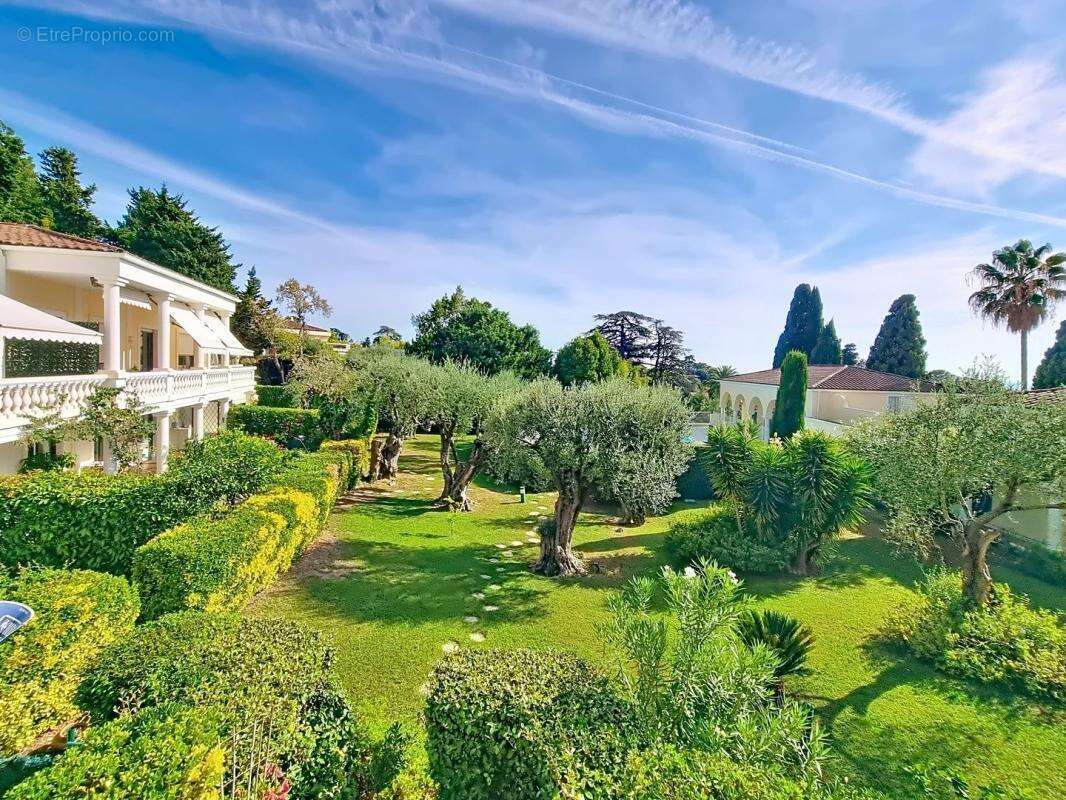 Cannes – quartier oxford _ duplex lumineux avec terrasse _ piscine - photo 4