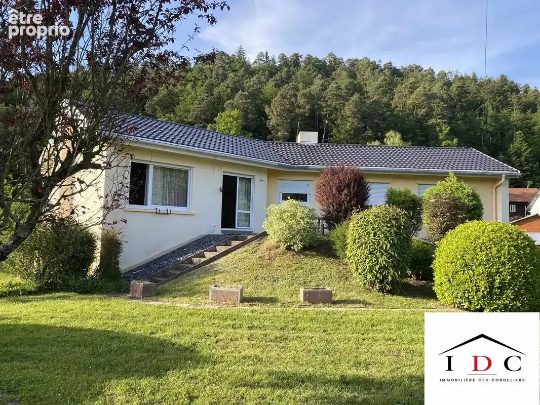Maison 6 pièces 157 m² à vendre à Sarrebourg (57400) - photo 1