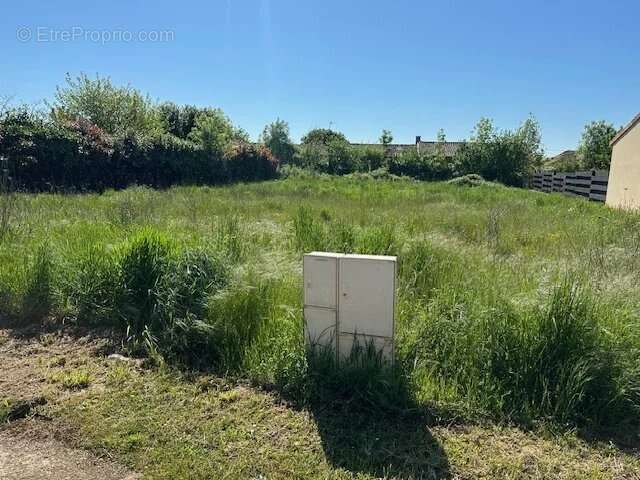 Terrain à CHATEAU-LARCHER