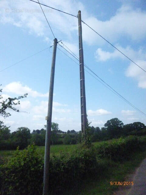 Terrain à MESNIL-CLINCHAMPS