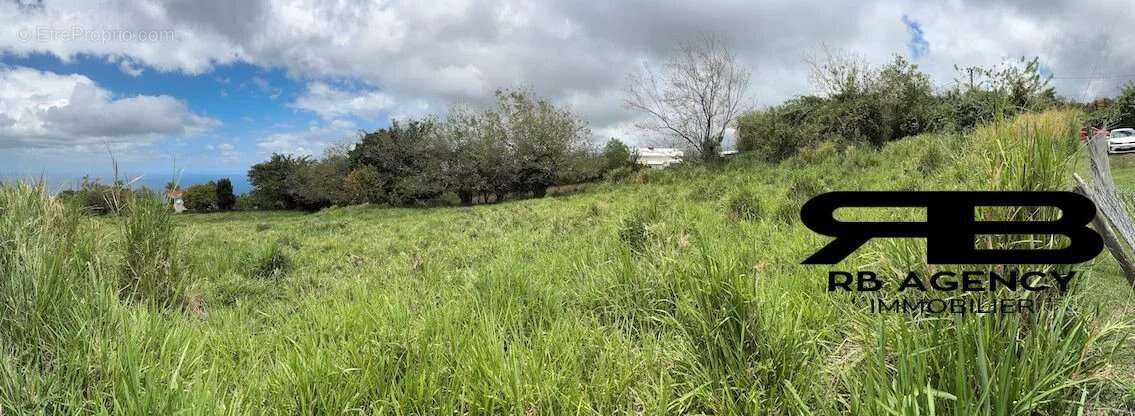 Terrain à LE CARBET