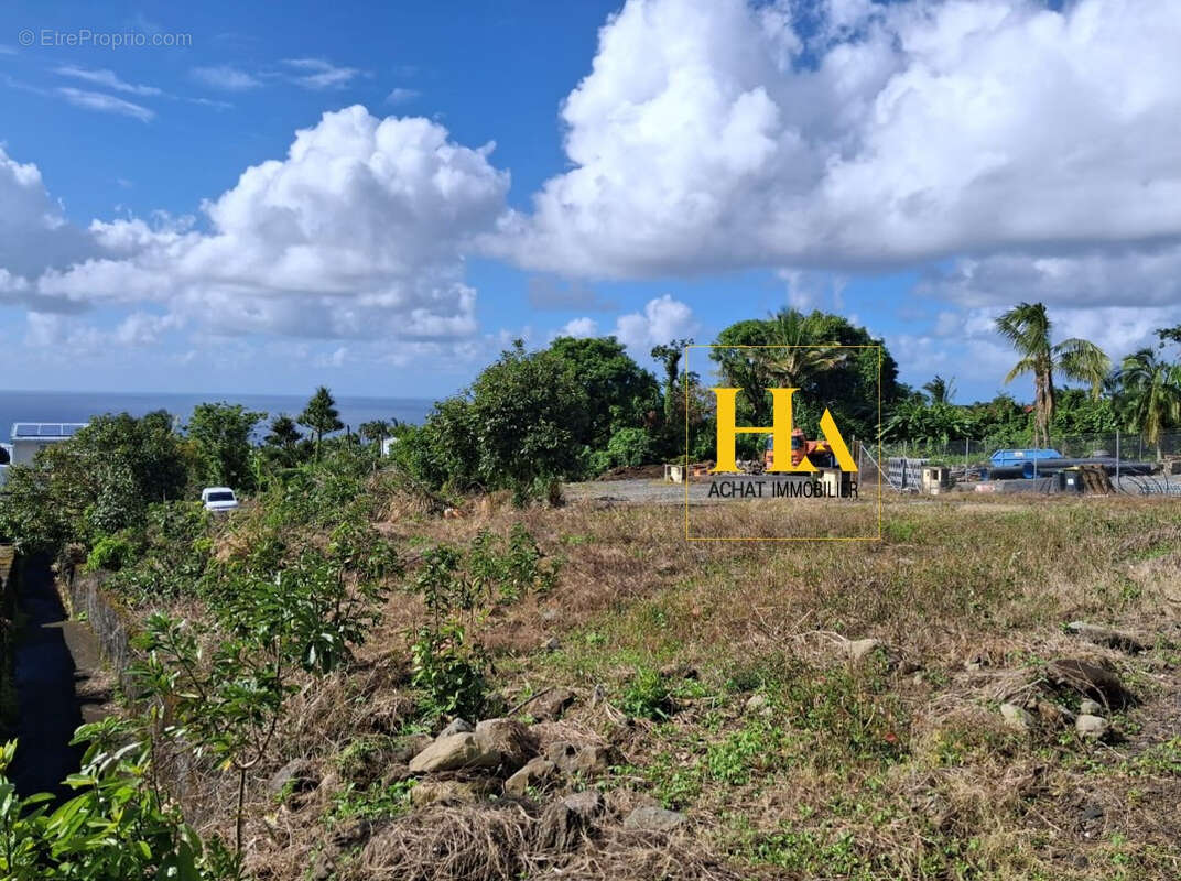 Terrain à SAINTE-ROSE