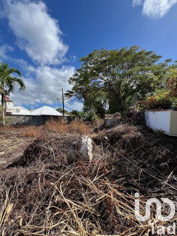 Photo 3 - Terrain à BASSE-TERRE