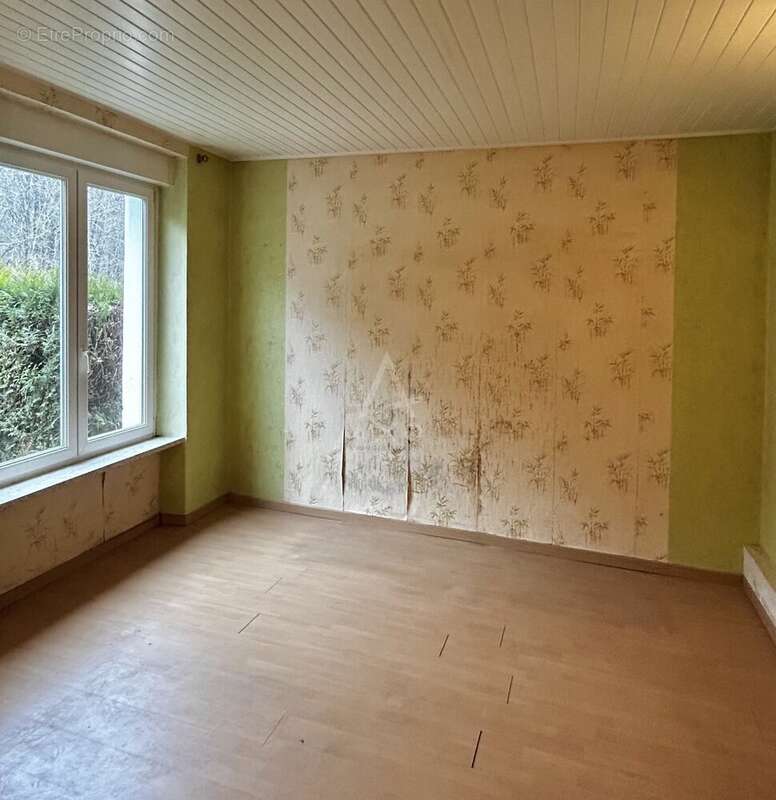Maison à PETITE-ROSSELLE