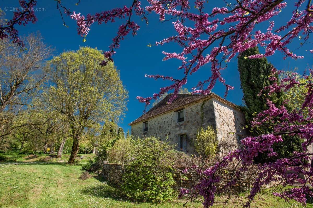 Maison à VILLEREAL