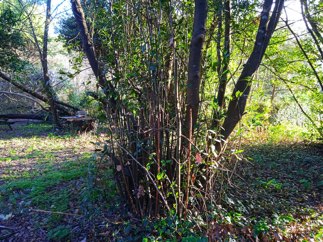 Maison à GRAYAN-ET-L'HOPITAL