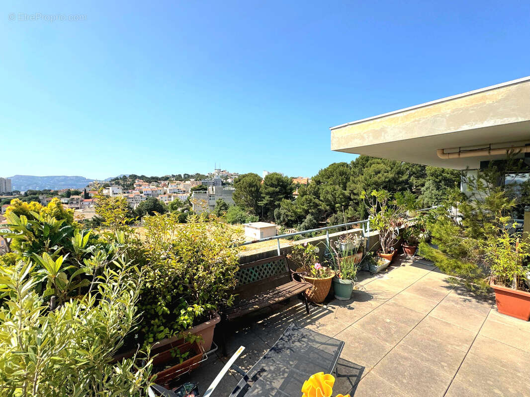 Autre à MARSEILLE-6E