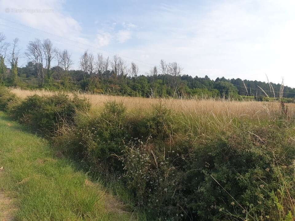 Terrain à VAGNAS