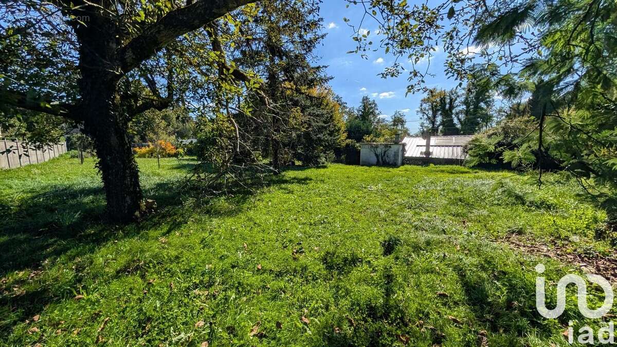 Photo 3 - Maison à ORIGNOLLES