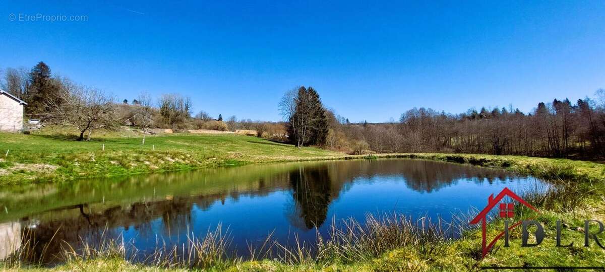 Ancienne ferme à renover avec étang,3 hectares de terrain - photo 3