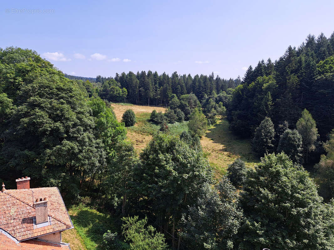 Maison à LE CHAMBON-SUR-LIGNON