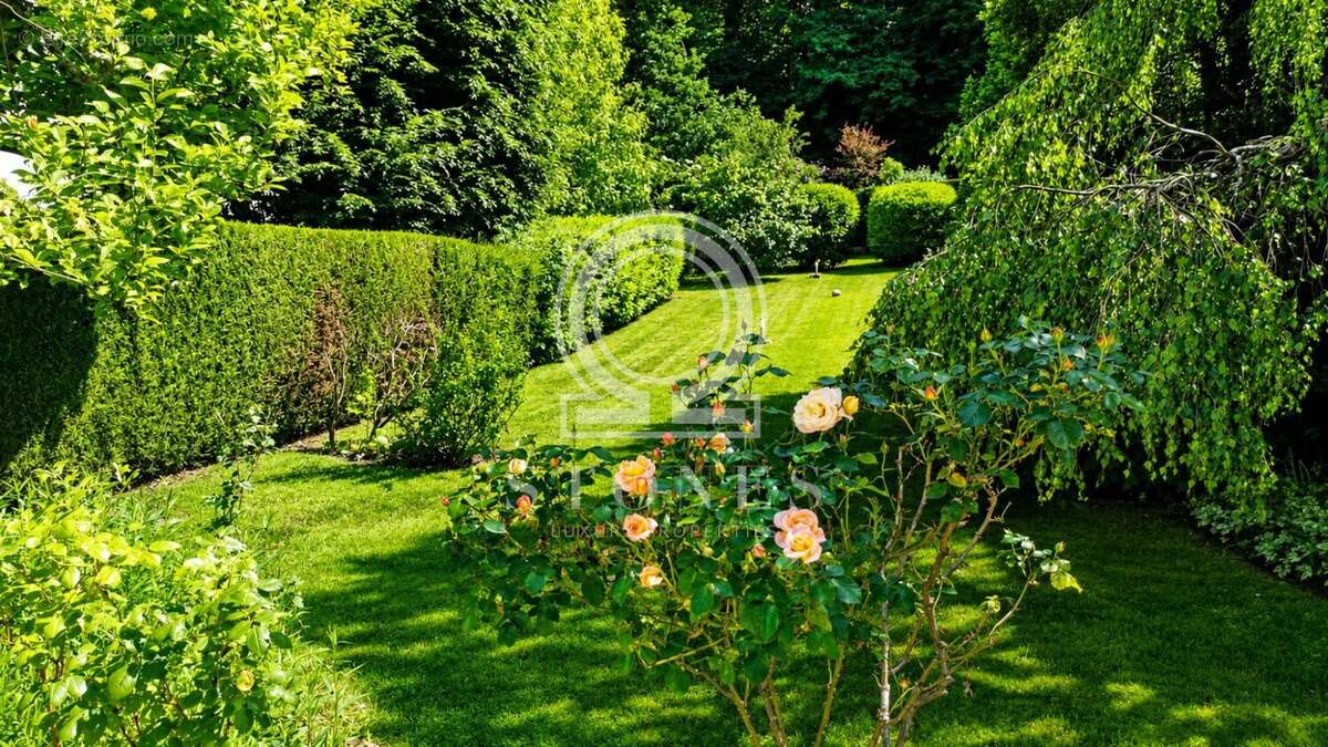 Maison 203 m² à Louveciennes  - photo 3