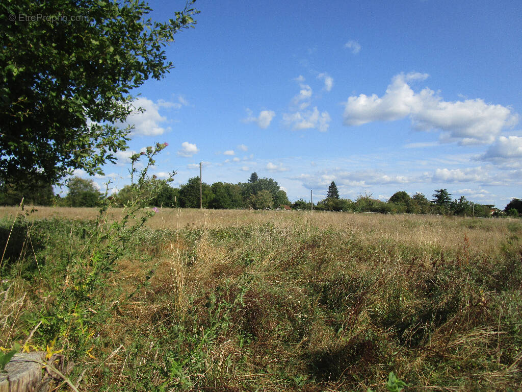 Terrain à SAINT-LAURENT-DES-HOMMES
