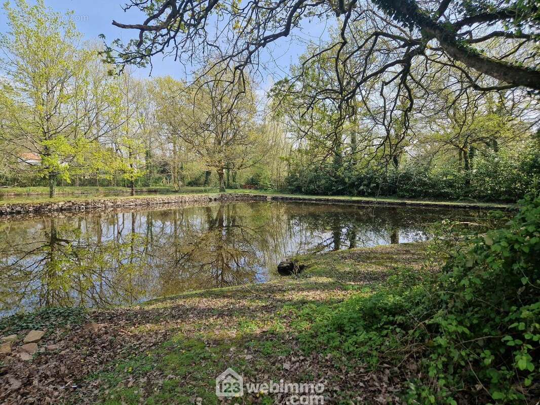 Terrain à VENANSAULT