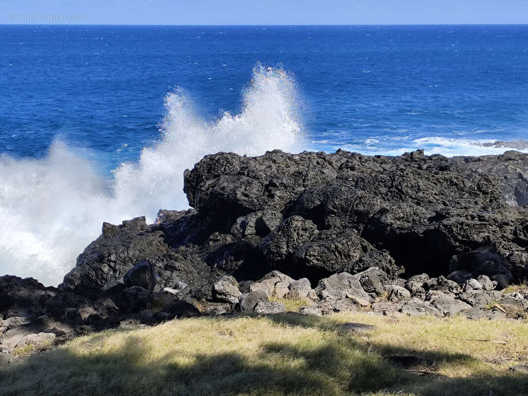 Terrain à SAINT-PIERRE