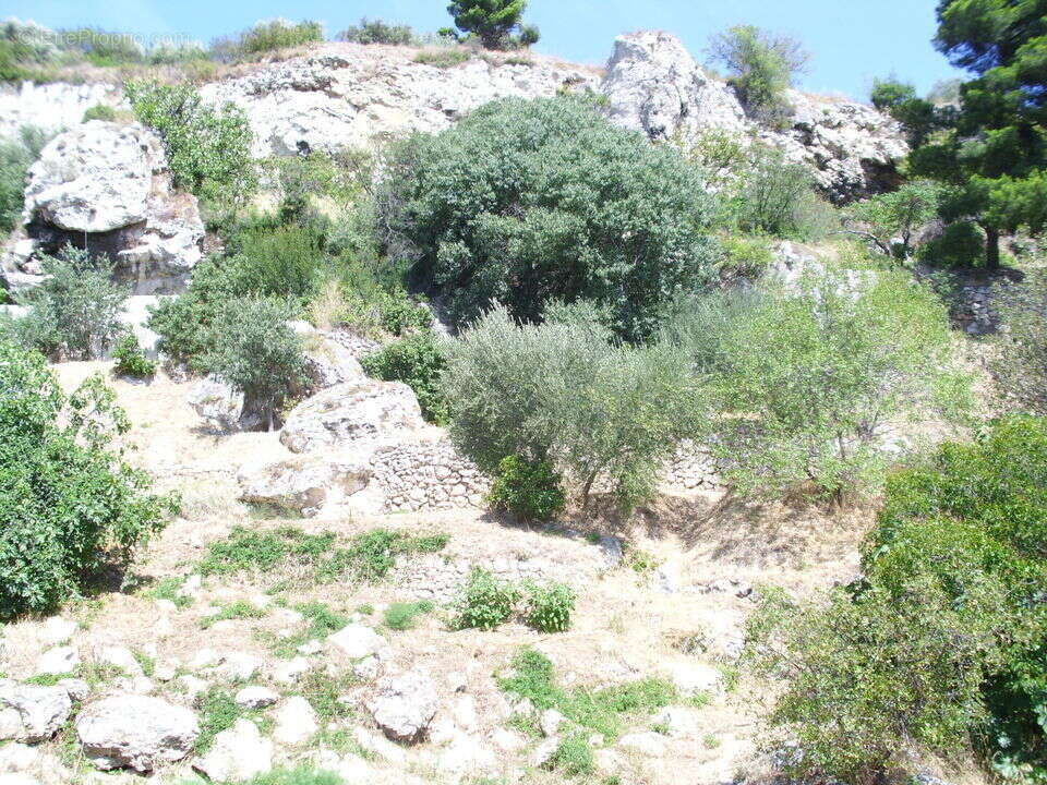 Maison à MARSEILLE-11E