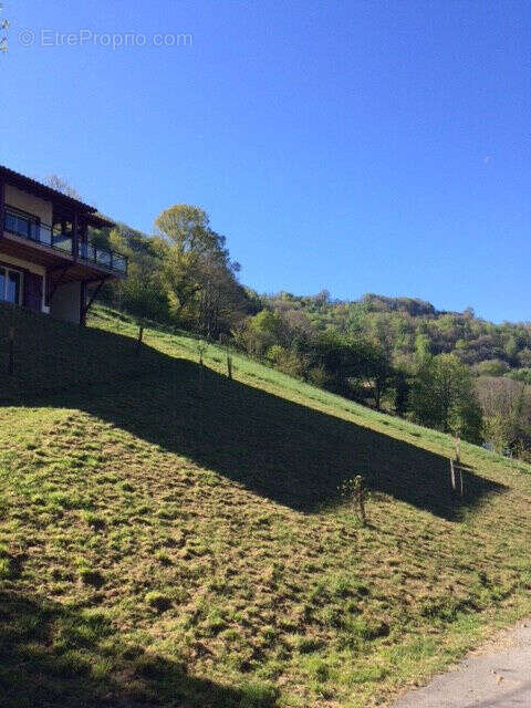 Photo 2 - Terrain à SAINT-ETIENNE-DE-BAIGORRY