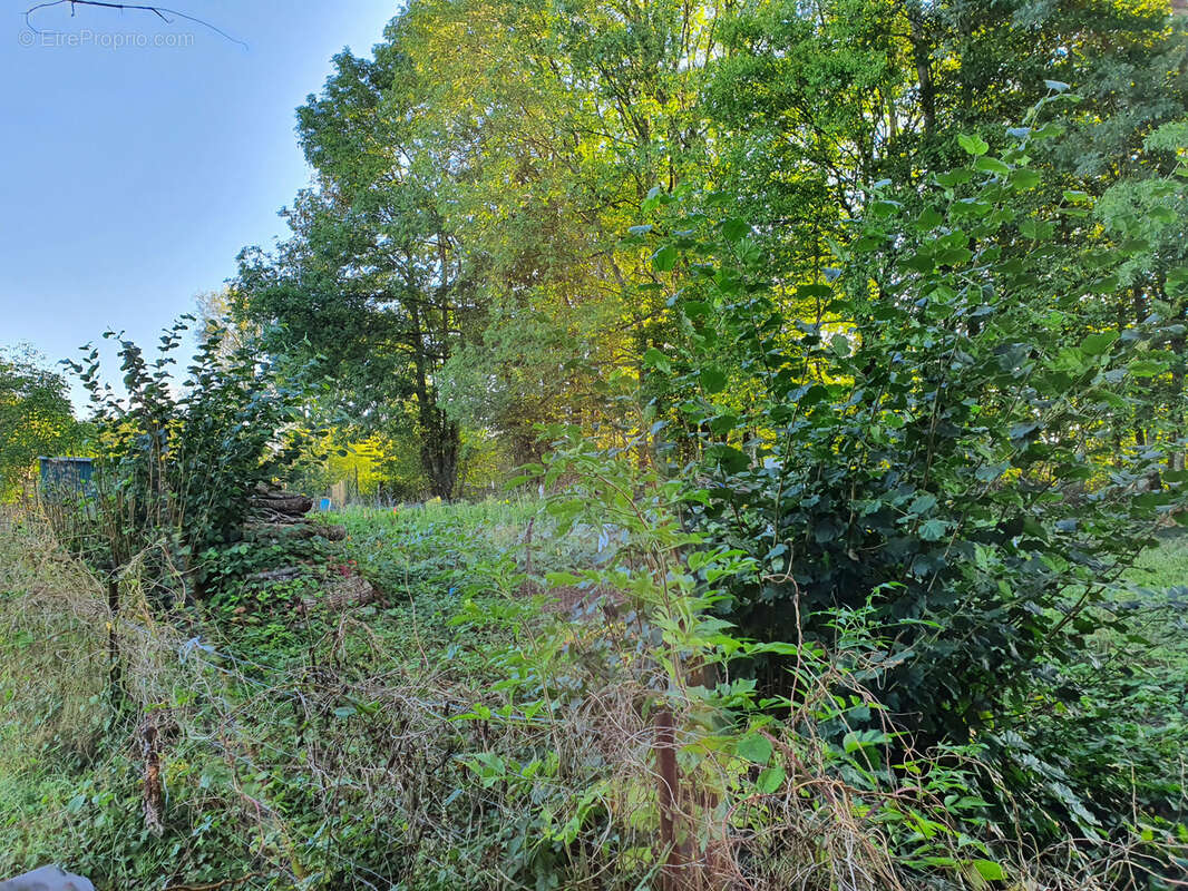 Terrain à SIGNY-LE-PETIT