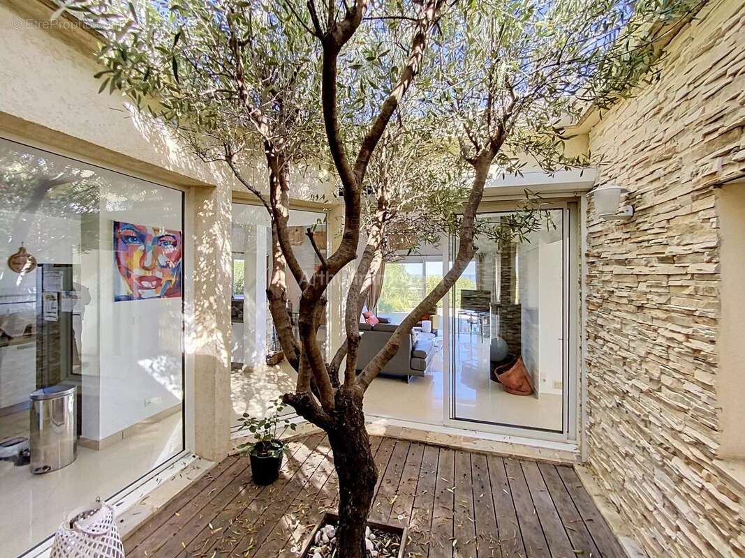 Maison à LUMIO