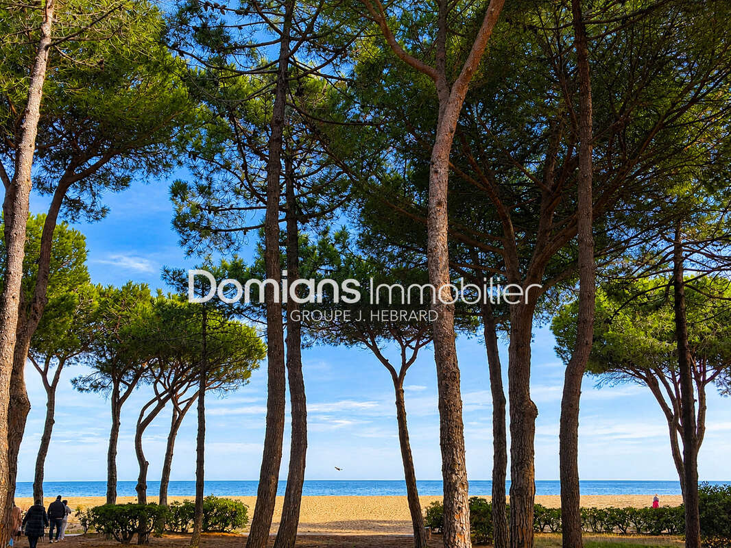 Appartement à ARGELES-SUR-MER