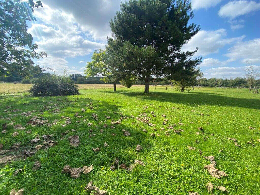 Maison à COURCY-AUX-LOGES