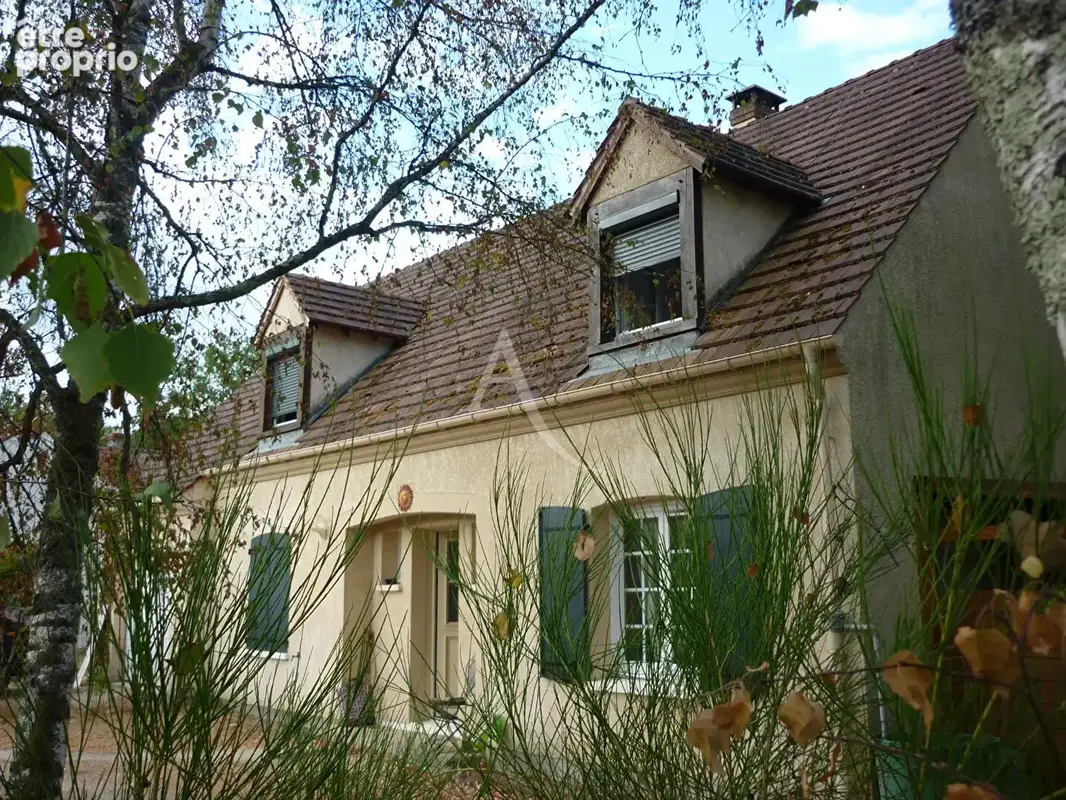 Maison à VOUZON