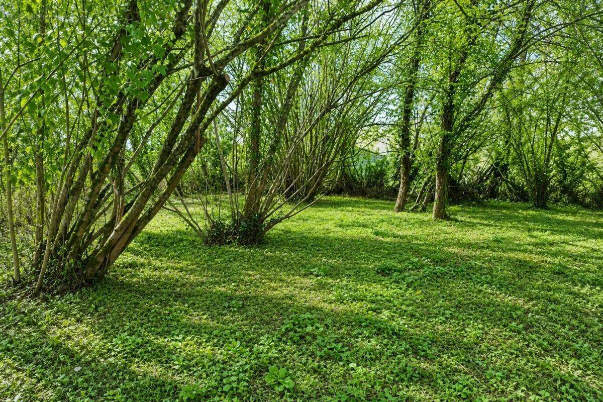 Maison historique de 180 m² à Magny-le-Désert - photo 10