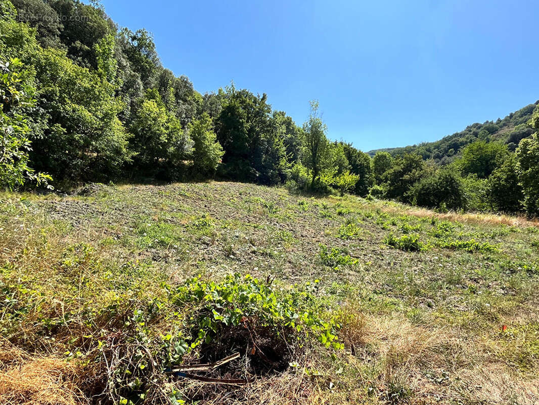 Terrain Saint Couat Du Razes 2200 m2 - photo 2