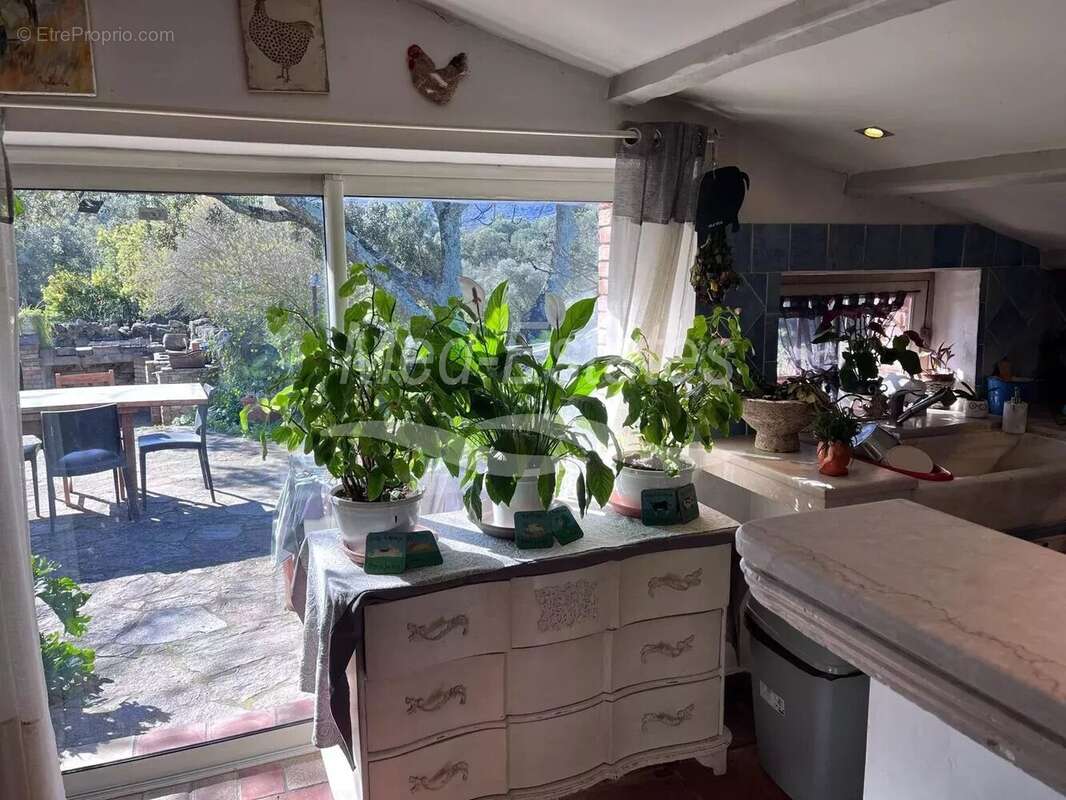 Maison à PLAN-DE-LA-TOUR