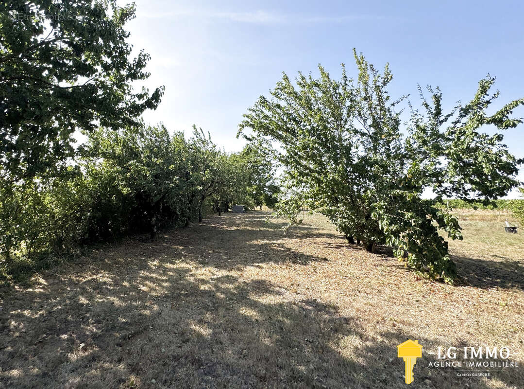 Maison de plain-pied au milieu de son jardin arboré d'arbres fruitiers avec grange de 346 m2 - photo 18
