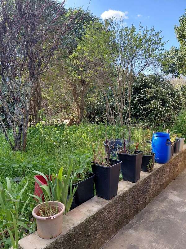 Maison à POURRIERES