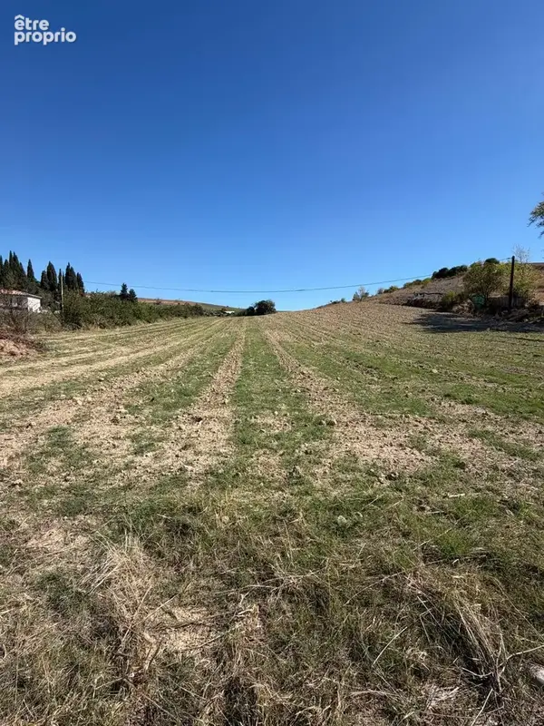 Limoux - Terrain à bâtir d'environ 4 000m2 - photo 4