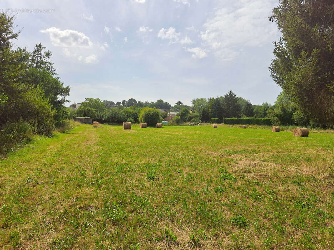 Terrain à SAINT-CALAIS