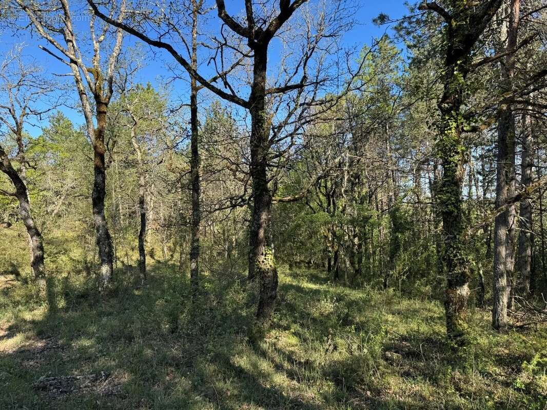 Terrain à CAHORS