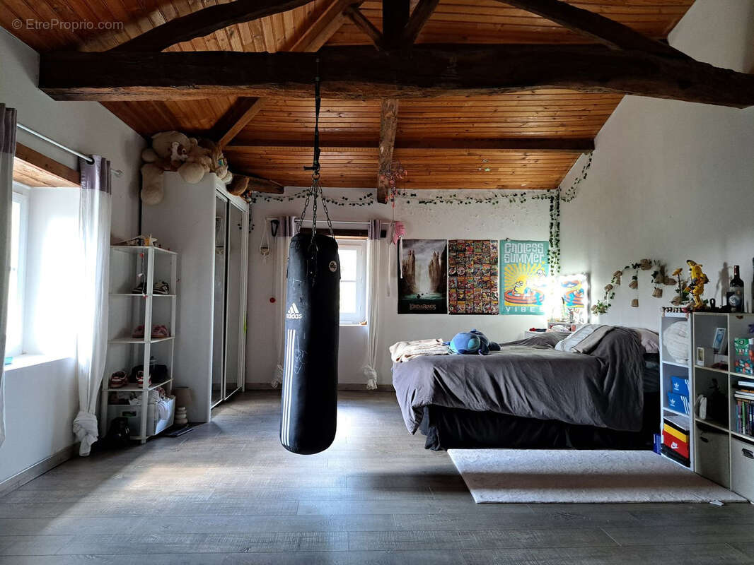 Propriété de caractère sur 2.5 hectares - photo 17