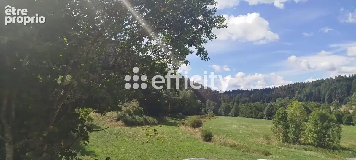 Maison 292 m² à Usson-En-Forez  - photo 37