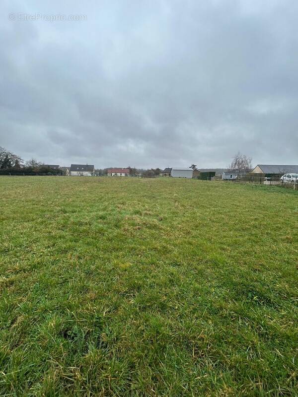 Terrain à BRIEL-SUR-BARSE