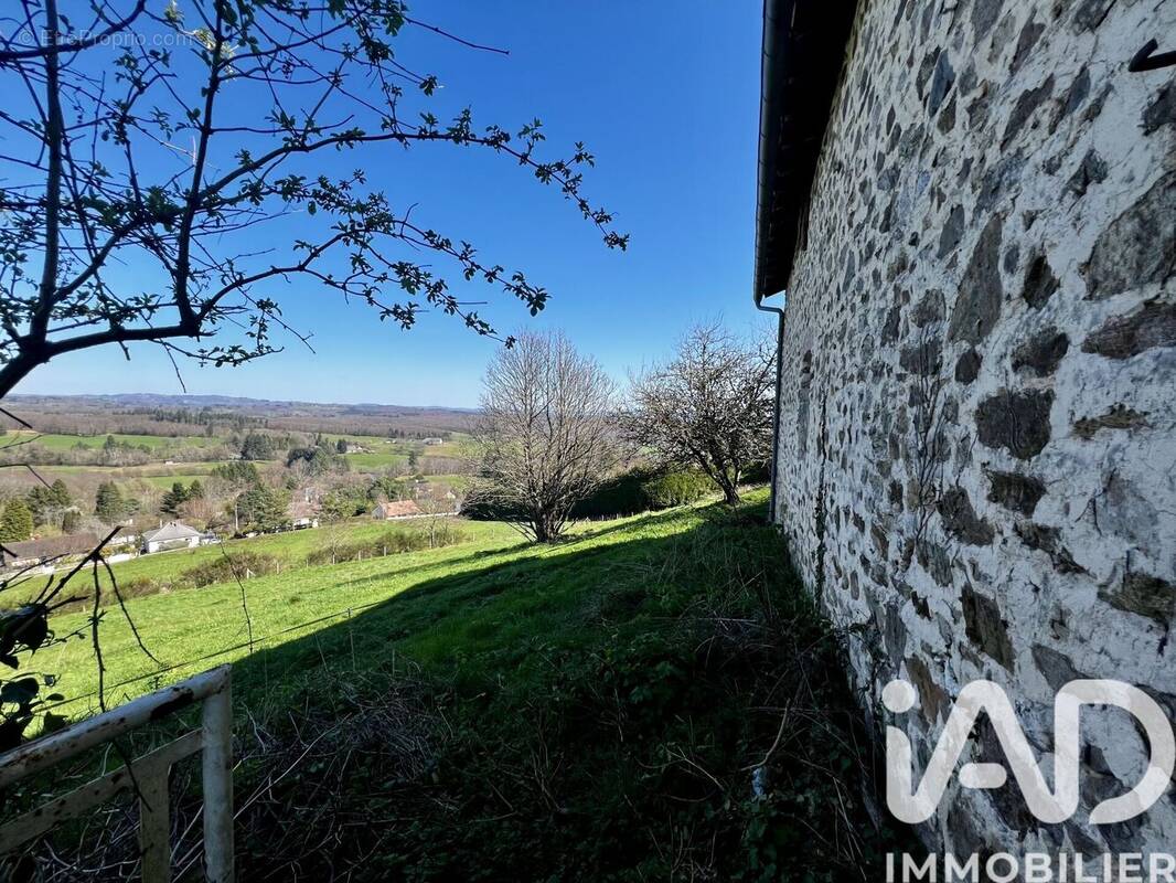 Photo 1 - Maison à MASSERET