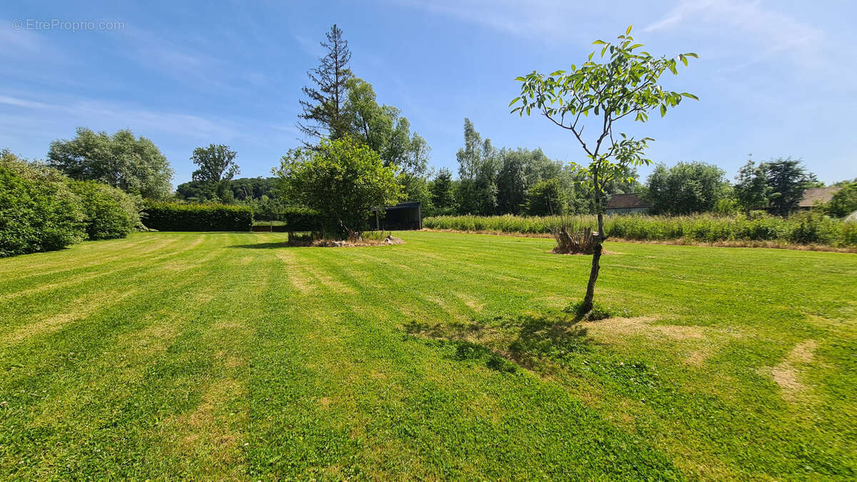 Maison à ESTREELLES