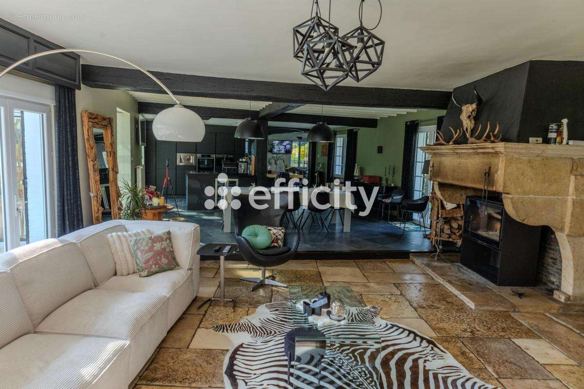 Maison 450 m² à Dunkerque  - photo 7