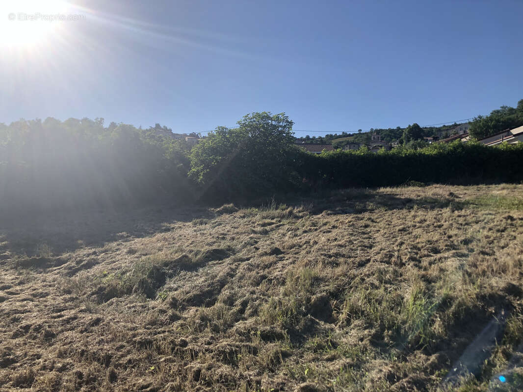 Terrain à LA ROCHE-BLANCHE
