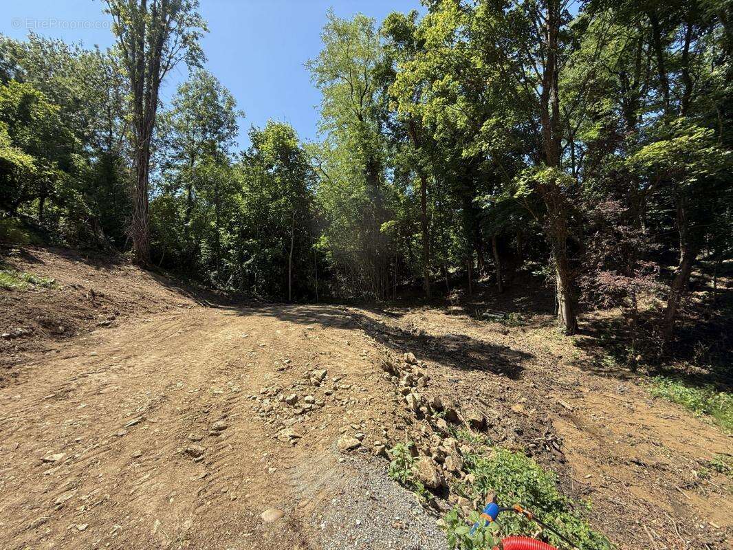 Terrain à CHAPONOST